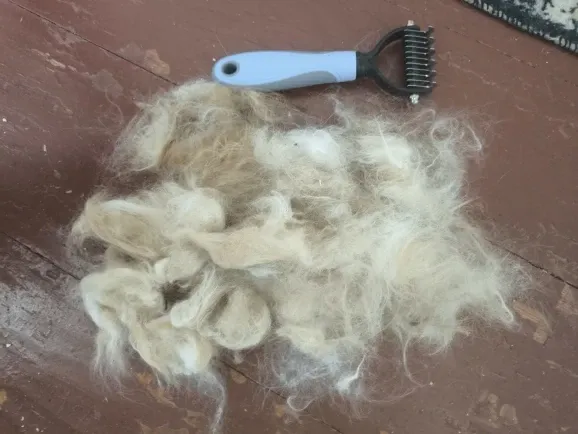 Review by Claudia R.